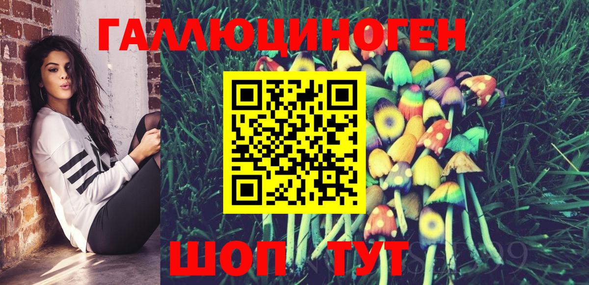Галлюциногенные грибы Psilocybine cubensis  Вход с VPN  Корсаков 